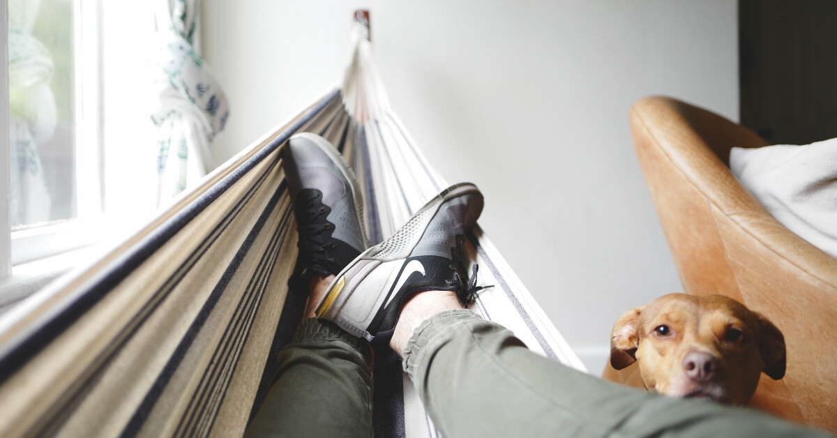 man's legs in a hammock and a dog beside them