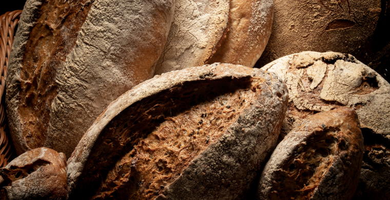 loaves of rustic looking bread