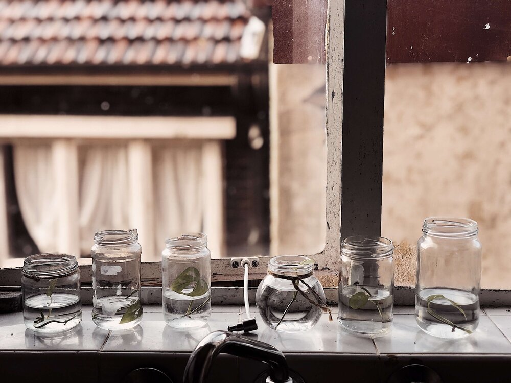 photo of neri morris window nursery