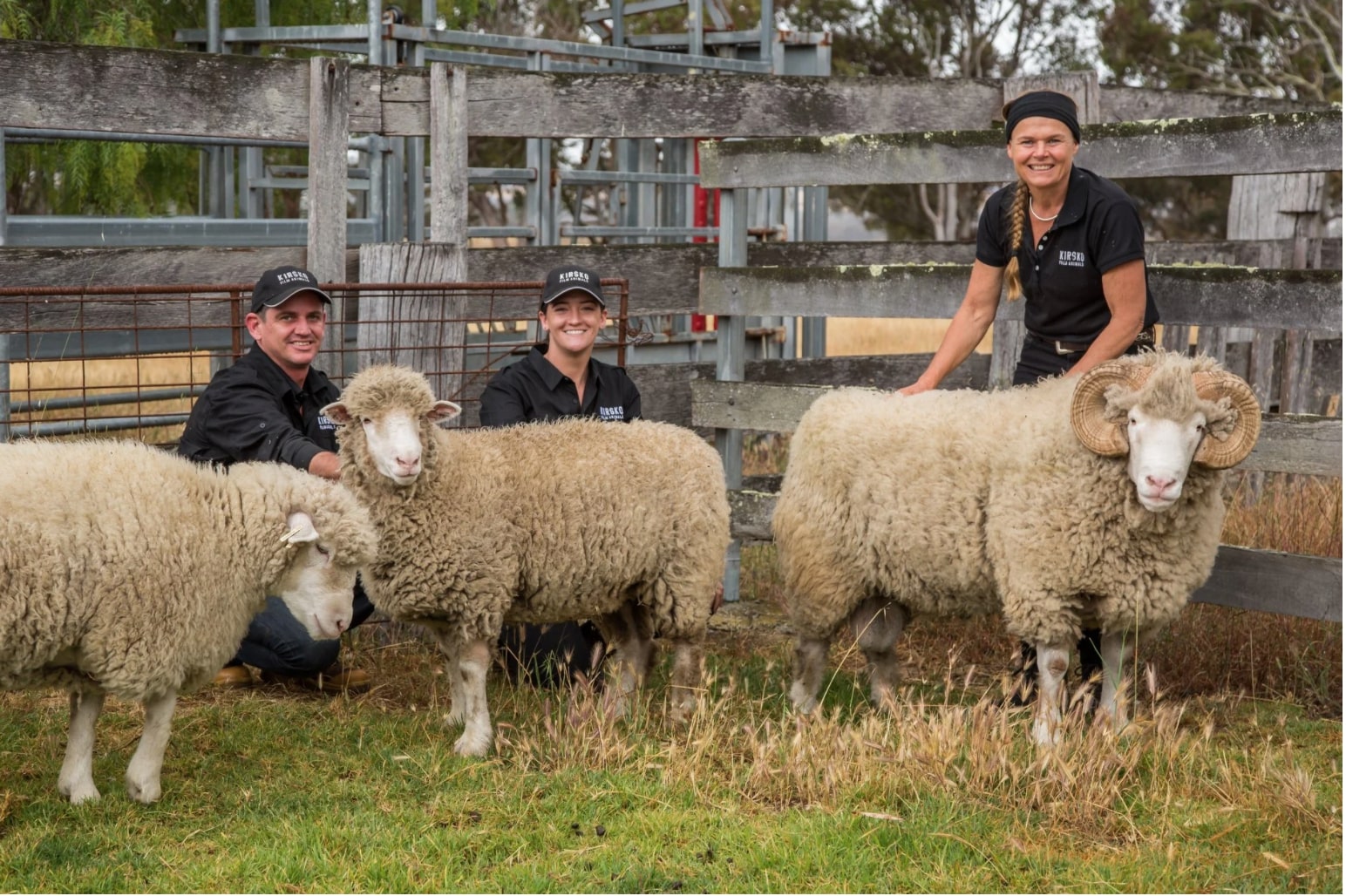 Source: Rams Facebook, the team from Kirsko Film Animals Pty Ltd with lead ram, Locke, and ewes Suzie, Charlie and Mel.