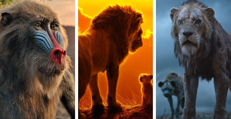 Characters from The Lion King 2019