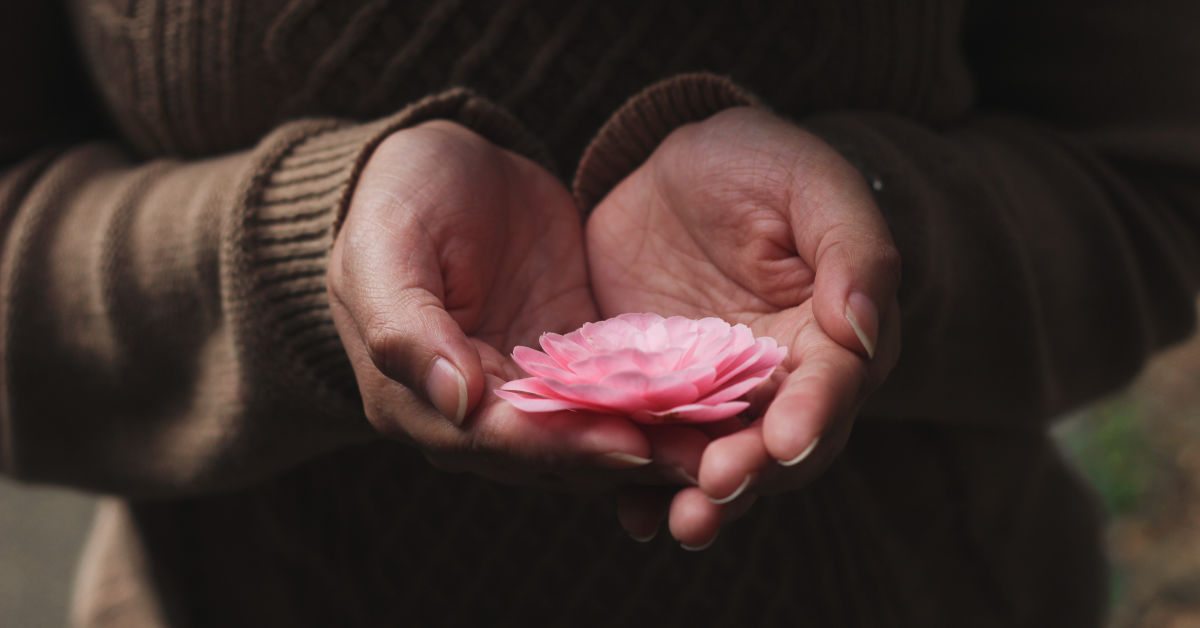 Flower in cupped hands