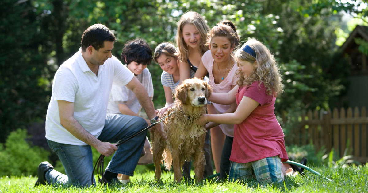 family surrounding pet dog outside on the green grass