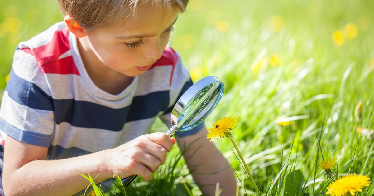 photo of a young boy using a magnifying glass to look at a lady bug 