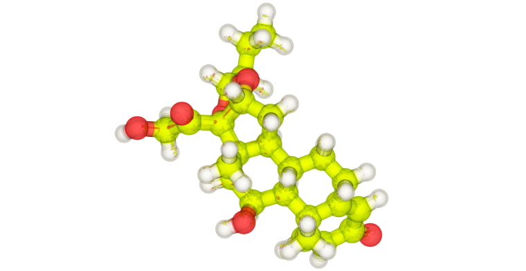 A molecular model of budesonide