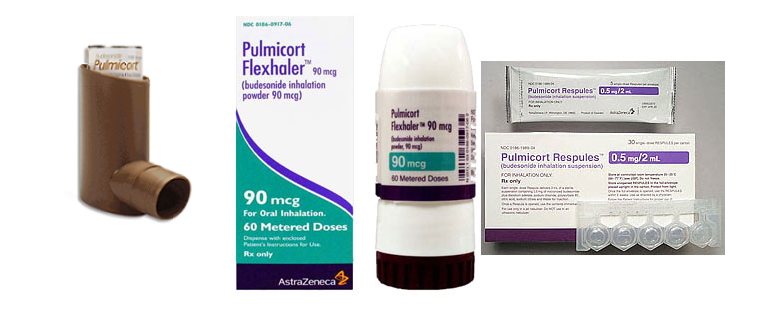 Pulmicort / budesonide medications
