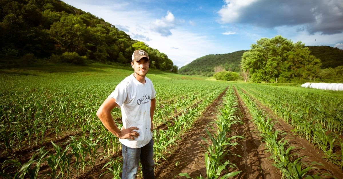 farmer standing in a field of crops