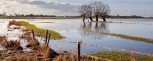 Flooding-in-Australia-on-rural-farming-property