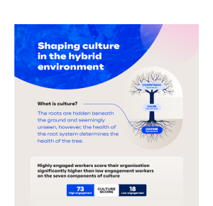 Shaping Culture infographic snippet