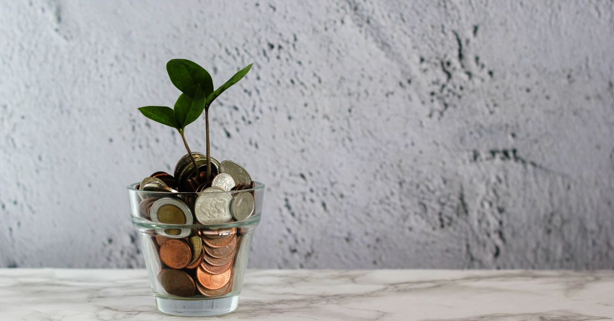 Plant growing in cup of coins