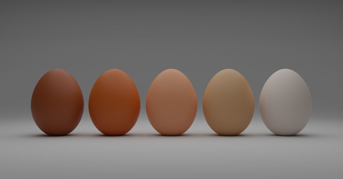 A row of chickens eggs